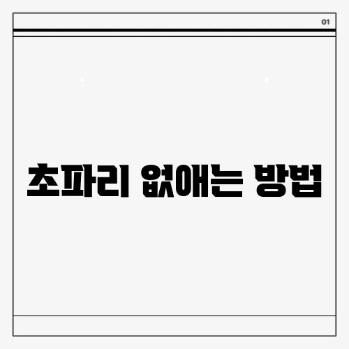 초파리 없애는 방법