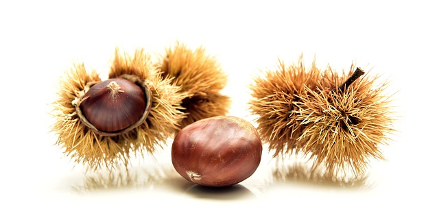 밤껍질일반쓰레기 분리수거