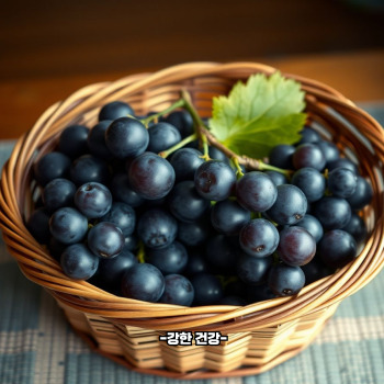 포도 효능