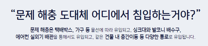 쥐 방역업체 비용 후기