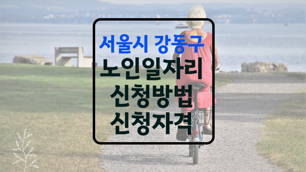 강동구 노인일자리