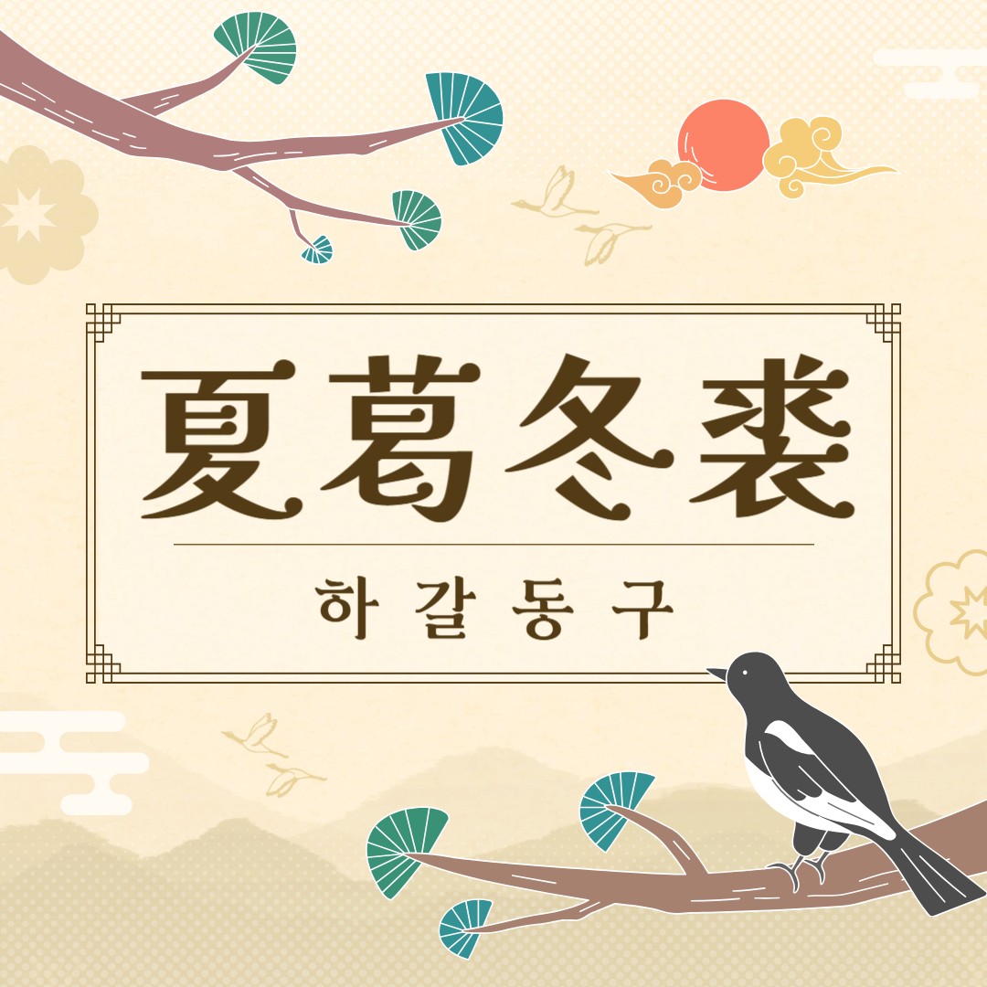 하갈동구(夏葛冬裘) 뜻, 유래, 예문, 반대말, 유의어