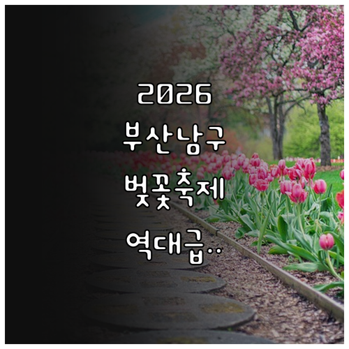 2026 부산 남구 벚꽃 구경하기 좋..
