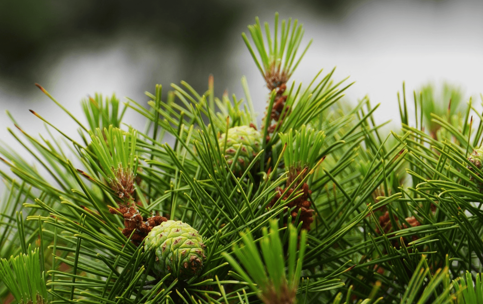한국어 자음과 모음 쉽게 배우기 – 한글 기초 가이드