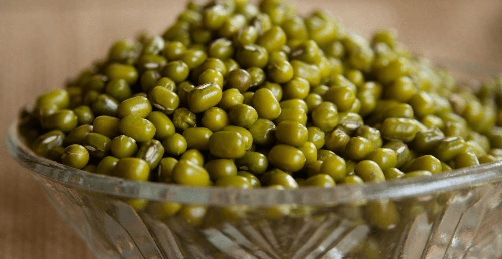 녹두와 녹두로 만든 음식 사진 - 786