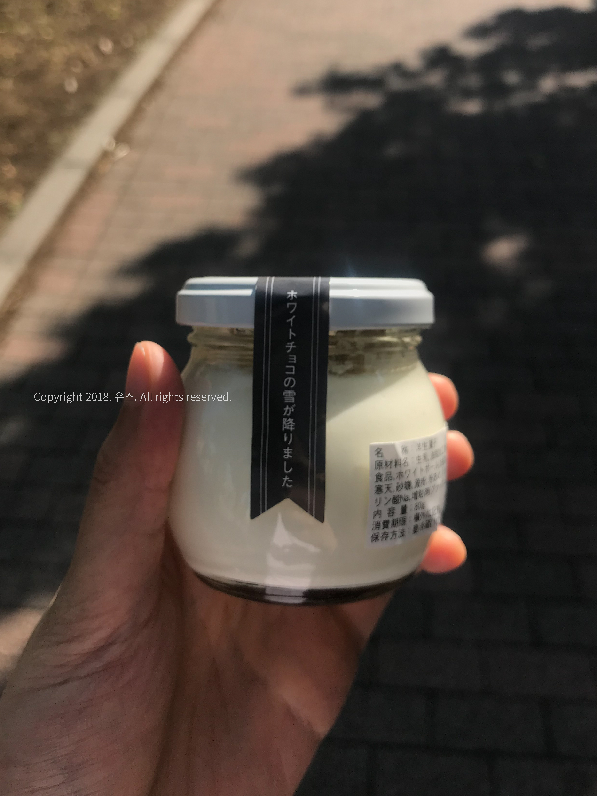 도쿄 유학