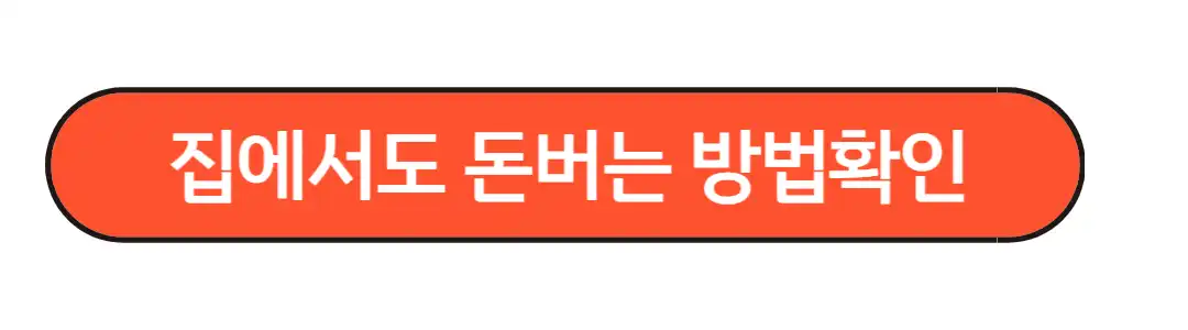 집에서도 돈버는 방법