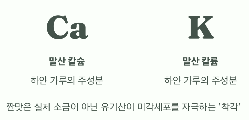 짠맛의 비밀, 소금이 아니었네?