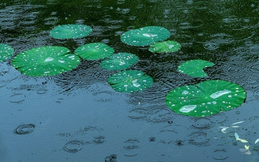 장마시작 내리는 빗방울 이미지