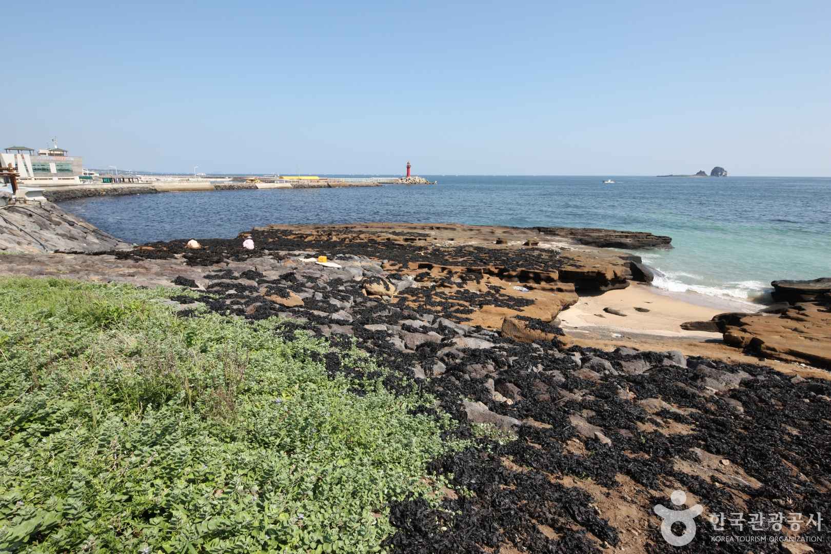 제주 사계해안