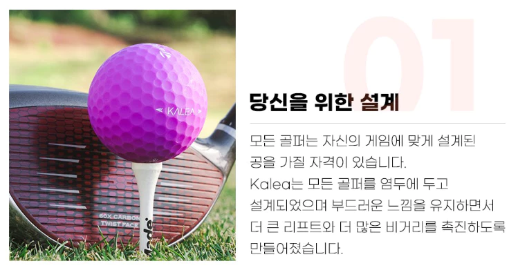 테일러메이드골프공
