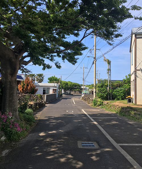 세화-동네-풍경2