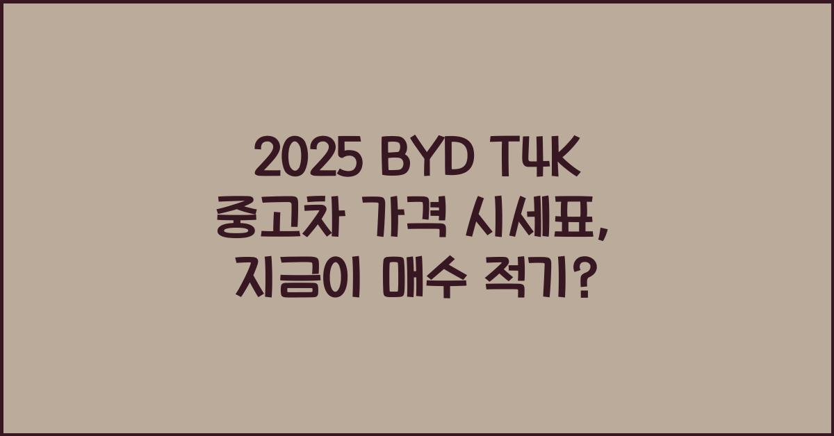 2025 BYD T4K 중고차 가격 시세표