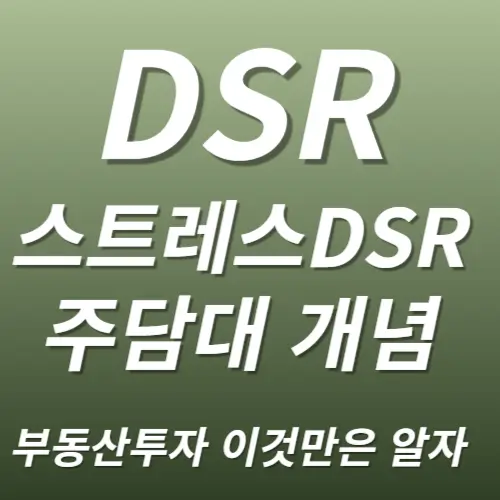 DSR 스트레스DSR 부동산투자