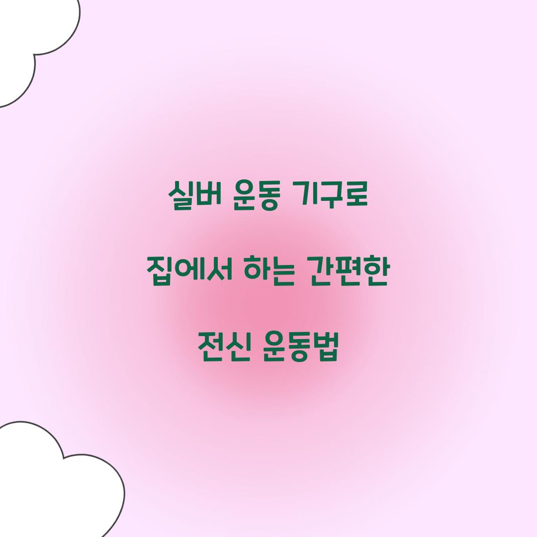 실버 운동 기구
