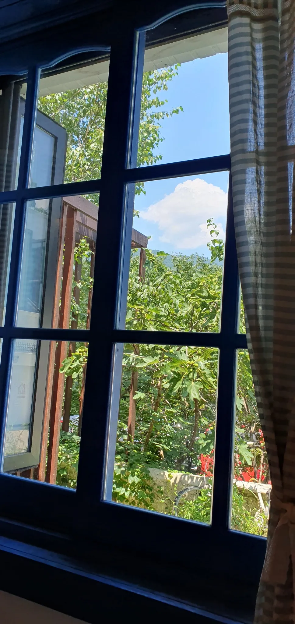 카페 창가석에서 바라본 풍경