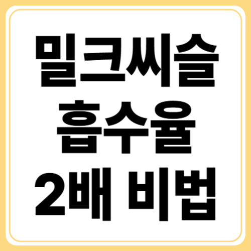 밀크씨슬 흡수율 높이는 법! 체내 흡수 200% 올리는 실전 팁