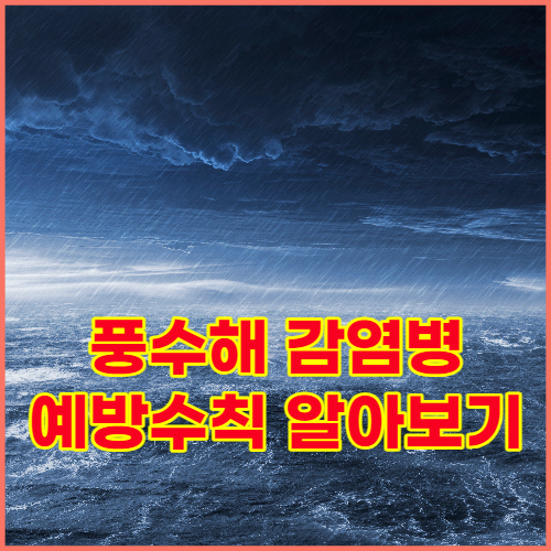 풍수해 감염병 알아보기