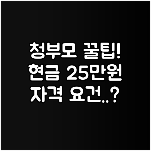 2025 여성가족부 청소년부모 지원:..