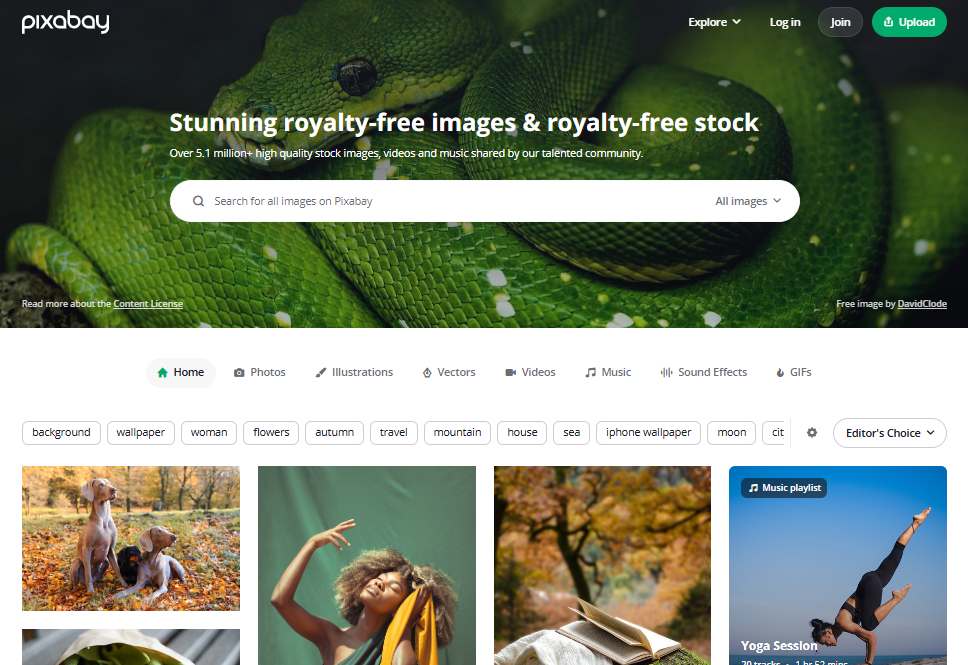 디자이너를 위한 무료 이미지 다운로드 픽셀즈