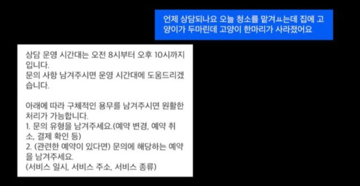 미소 청소 다나나 핀 유튜브 촬영 영상