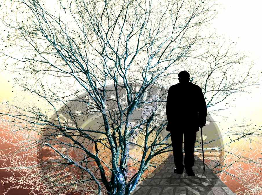 치매 치료관리비 지원 신청