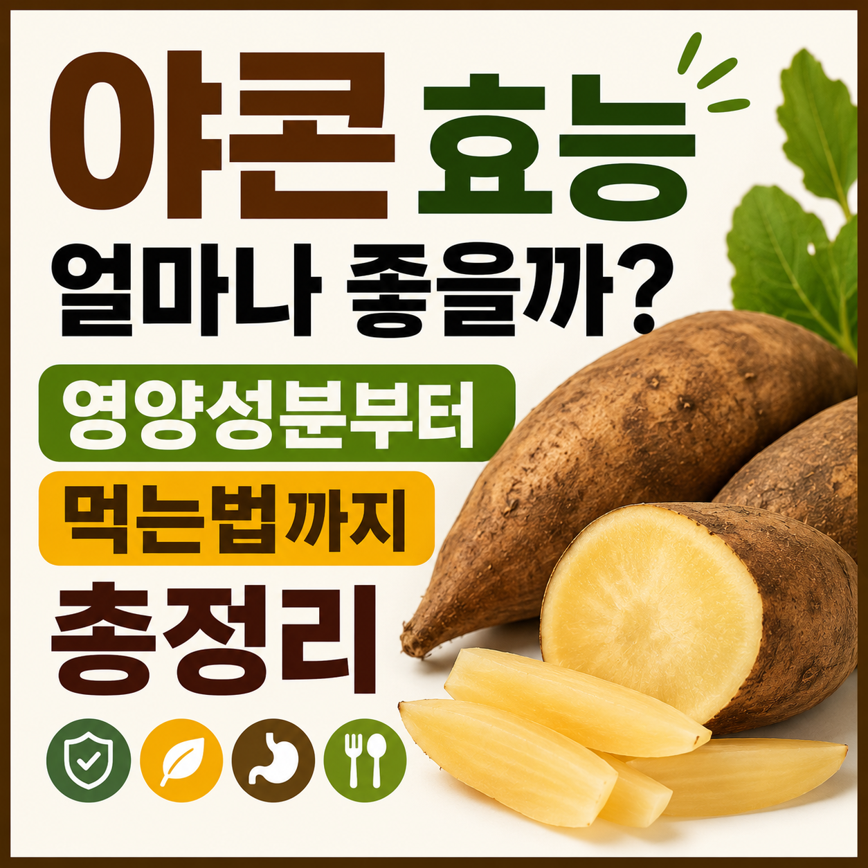 야콘 효능