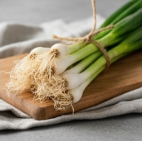 김장 쪽파 심는 시기