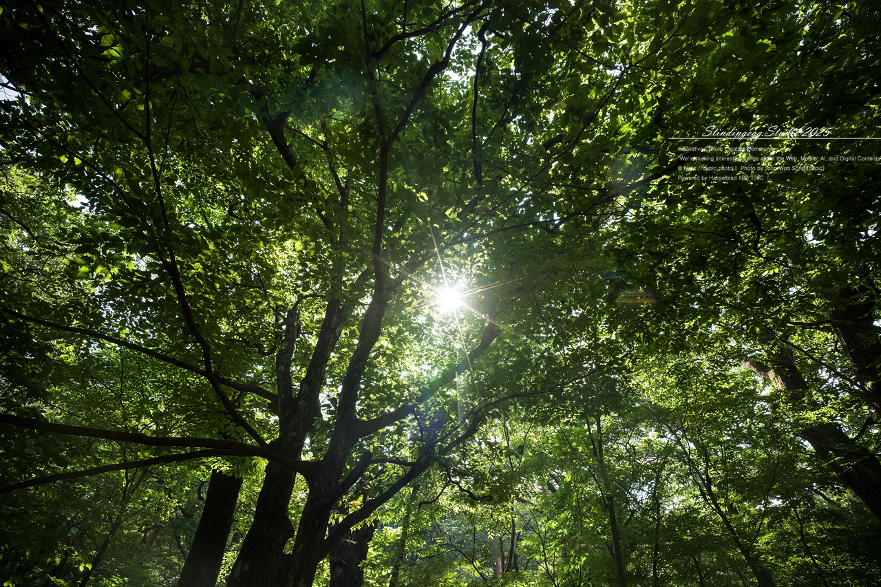 #보은 #법주사 #속리산 #생태탐방로 #속리산조각공원