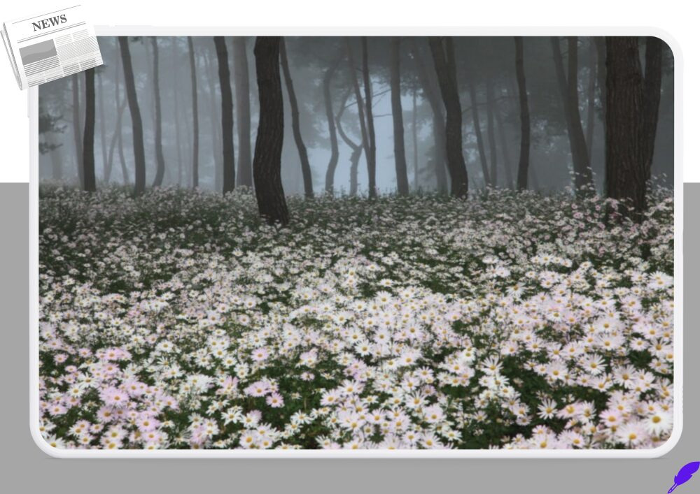 억새가 출렁이는 가을 산, 서울과 정읍