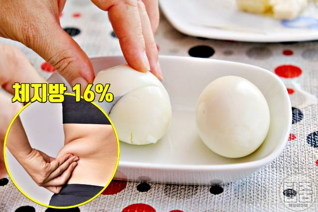 복부 체지방 빼는 음식 달걀흰자