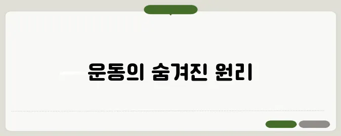 피트니스연구소, 과학적인 운동 프로그램의 비밀