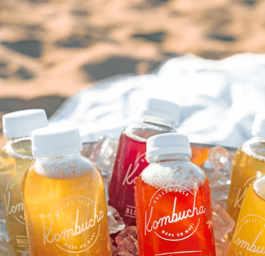 콤부차 효능 - 개요