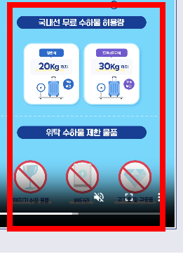 대한항공 수화물 규정 알아보기