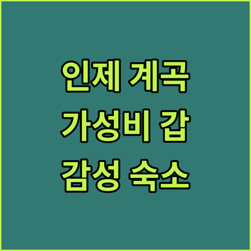 직접 가본 인제 가성비 모텔과 계곡 ..