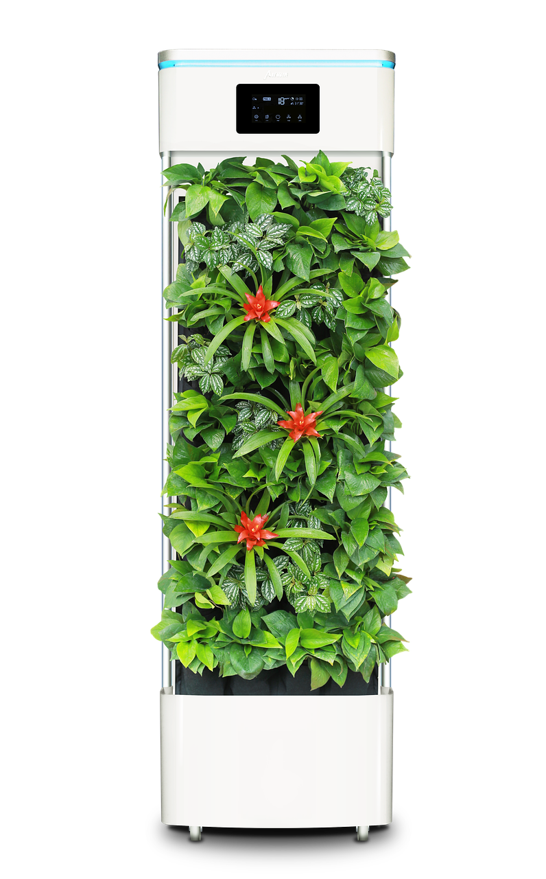 겨울철 실내 공기 질 개선 방법&amp;#44; 지금 바로 적용해보세요