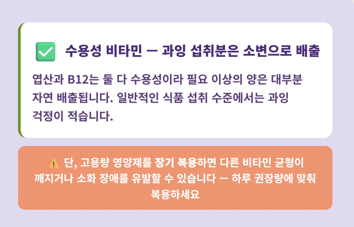 수용성 비타민인 엽산과 B12의 배출 원리와 고용량 장기 복용 시 주의점