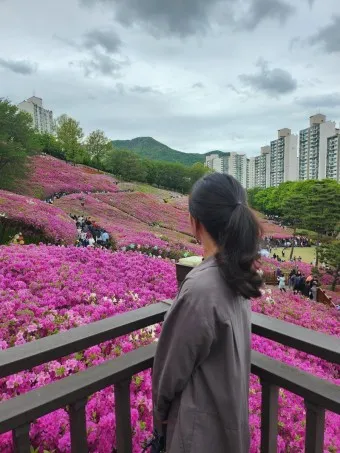 군포 가볼만한곳 베스트10 현지인 추천 필수코스_6