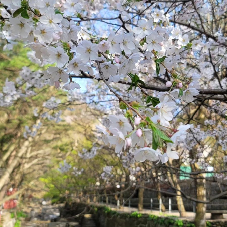 수목원프로방스