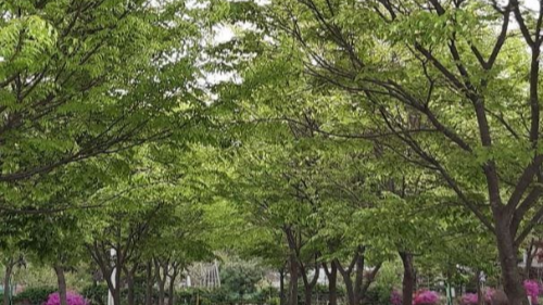 다그린캠핑장