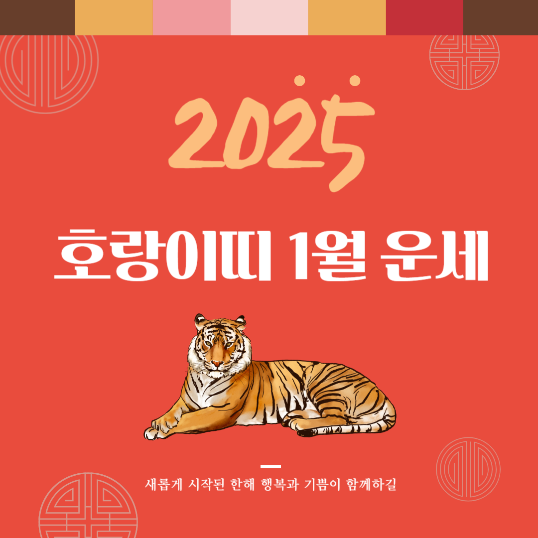 2025년 을사년 『호랑이띠』 1월 운세