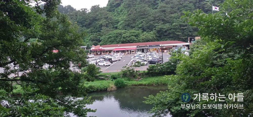 나무 사이로 내려다본 천지연폭포 주차장