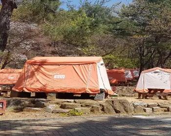 서울대공원 캠핑장_7