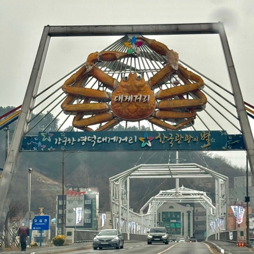 영덕군 여행정보 교통/숙박/주요명소에 관련된 사진