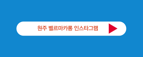 원주 벨르마카롱