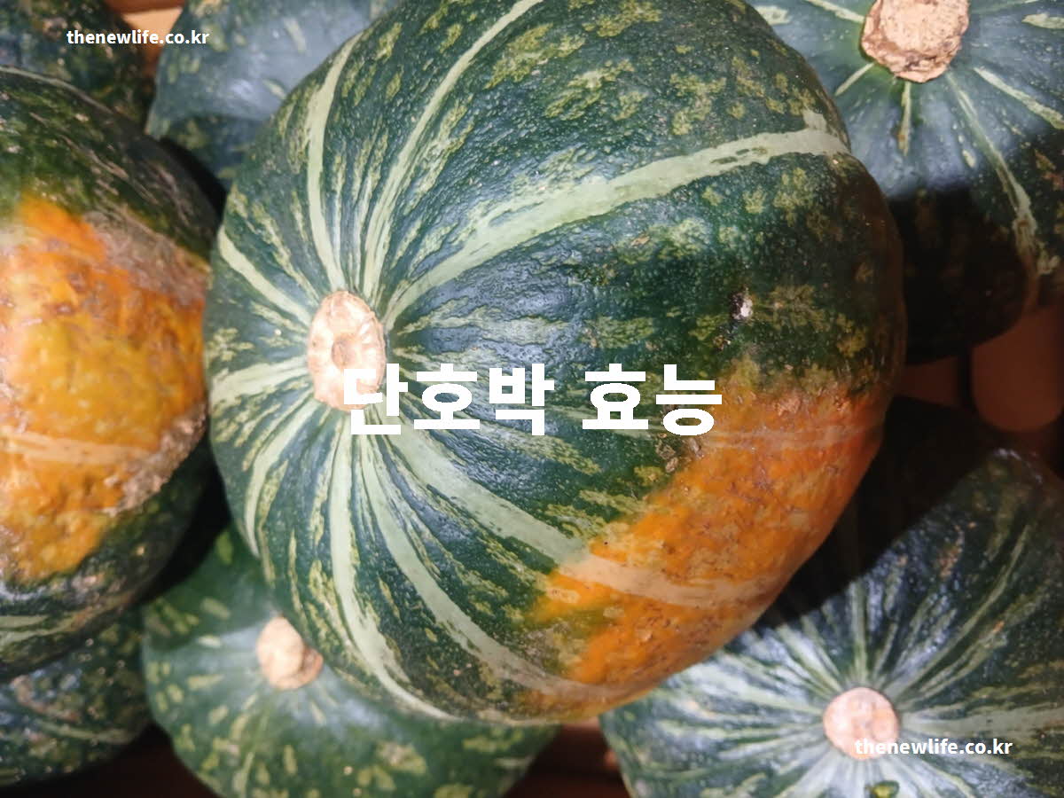 단호박 효능 대표 실사진