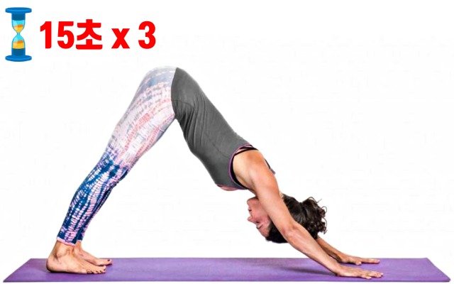 종아리 알빼는 스트레칭 운동법, 다이어트, 종아리 살빼기, 도그자세, 건강, 팁줌 매일꿀정보