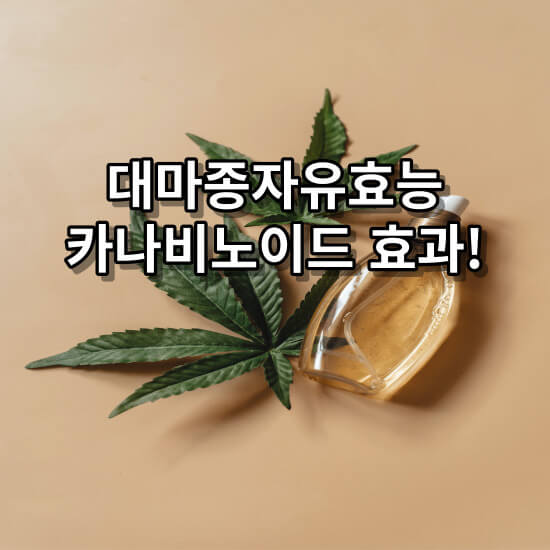 대마종자유효능