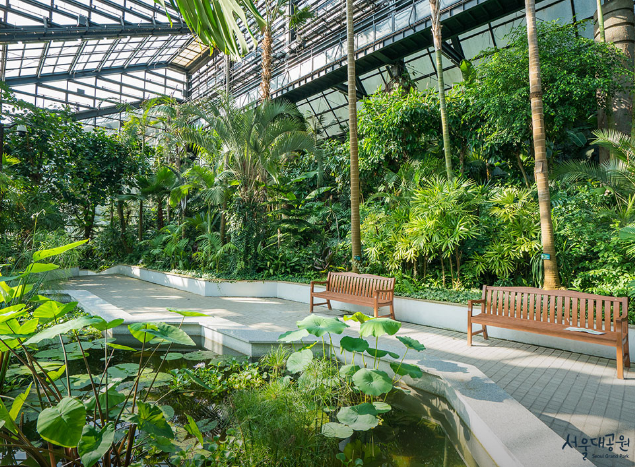 서울근교벚꽃명소