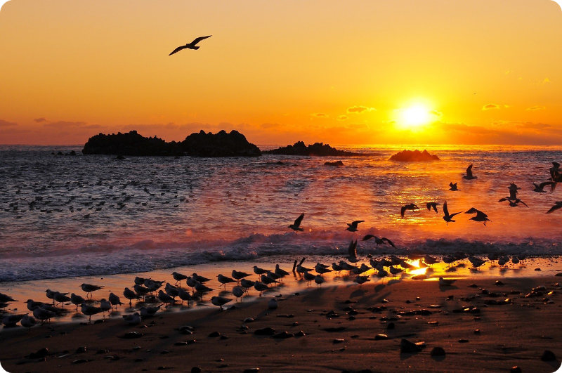 경주 문무대왕릉(감포) 새해 일출 명소/출처: 경주 문화관광